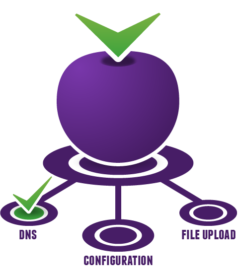 Hosting - DNS Complete
